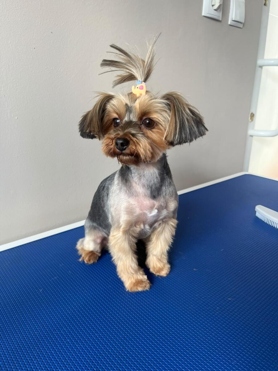 Koko